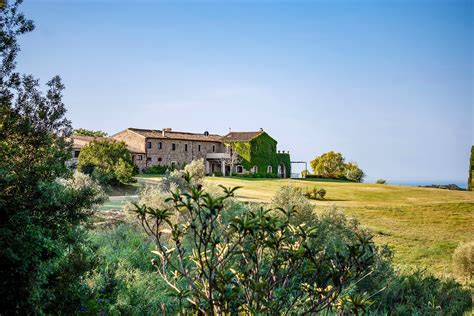 panorama della tenuta del Castello del Terriccio con vigneti e uliveti