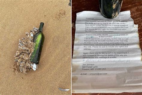 Un filo d'erba del bisonte all'interno di una bottiglia di Żubrówka