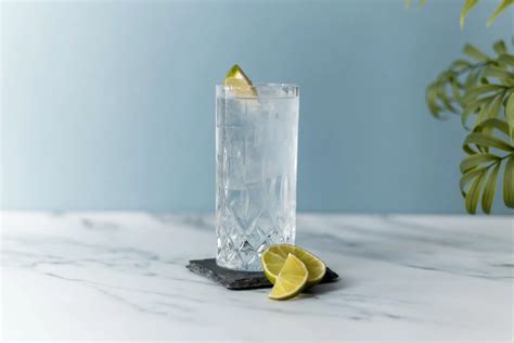 bicchiere Highball con Gin Tonic