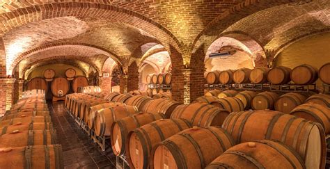 Vigneti e cantina
