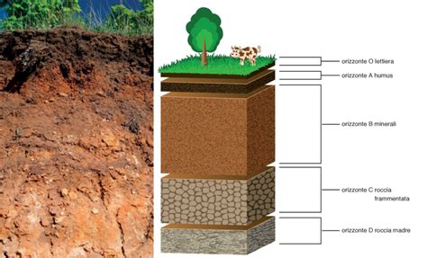 Sezione trasversale di un terreno dolomitico con strati di roccia e argilla