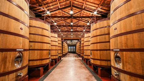 Diverse botti di legno di varie dimensioni in una cantina