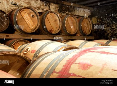 Barrique di rovere francese