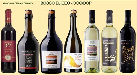 Vigneti del Bosco Eliceo con dune sabbiose