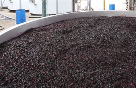 Vasca di macerazione con mosto e bucce d'uva rossa