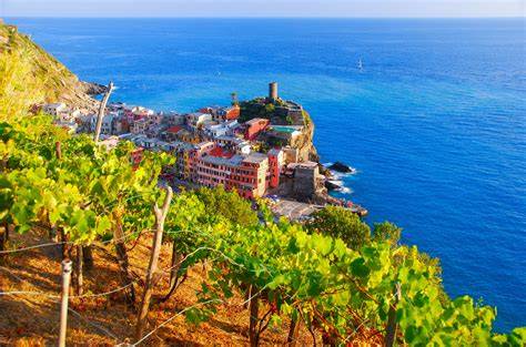 Vigneti terrazzati delle Cinque Terre con vista sul mare