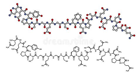 Struttura molecolare del glutine
