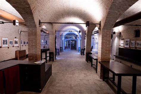 Vigneti ordinati di Ca' Corniani con sullo sfondo la cantina storica