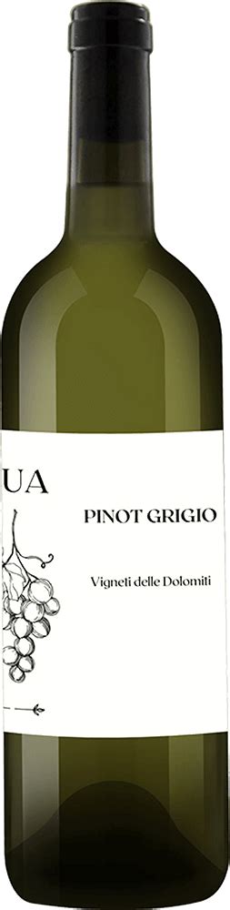 Vigneti di Pinot Grigio in collina