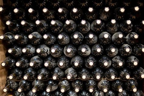 Bottiglie di vino rosso in una cantina