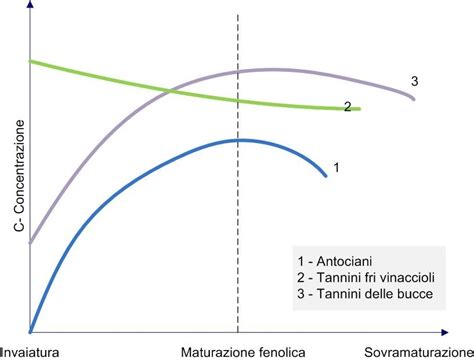 Grafico che mostra l'influenza di sole e pioggia sulla maturazione dell'uva