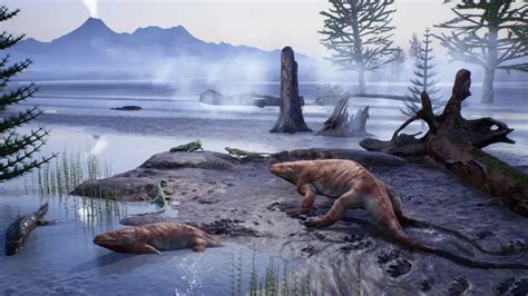 Tracce fossili sul pavimento di San Fruttuoso