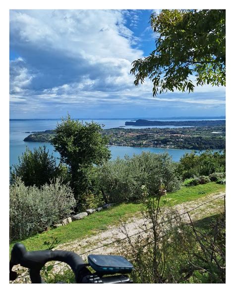 Paesaggio del Lago di Garda con vigneti e uliveti