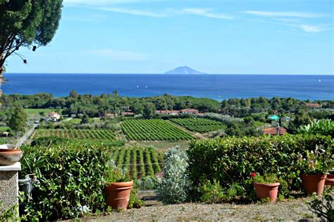 Panorama dell'Isola d'Elba con vigneti
