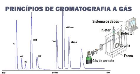cromatografia gas liquida bevande alcoliche