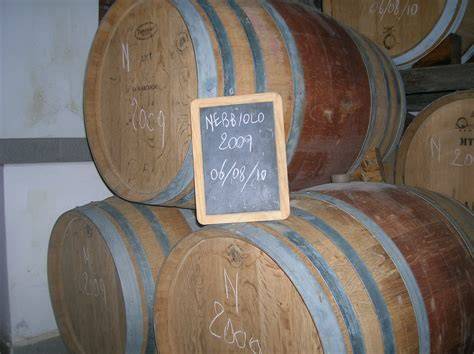 Barrique di rovere francese in una cantina