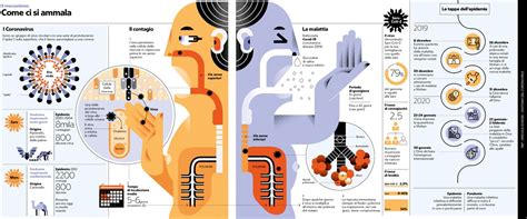 Infografica che spiega il concetto di
