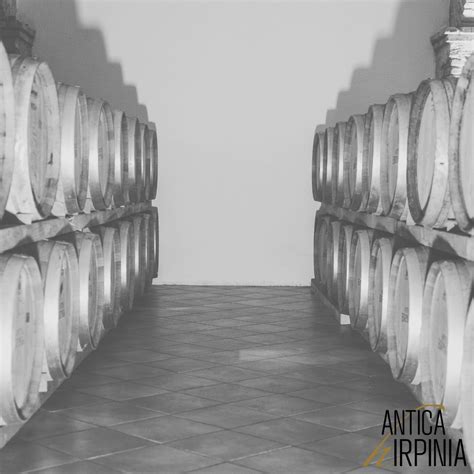 Diverse botti di rovere utilizzate per l'invecchiamento del whisky