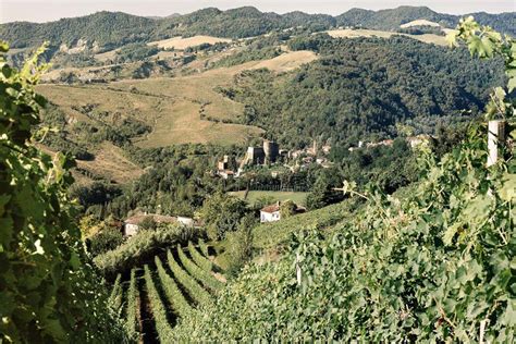 La facciata dell'azienda Baccichetto con vigneti sullo sfondo