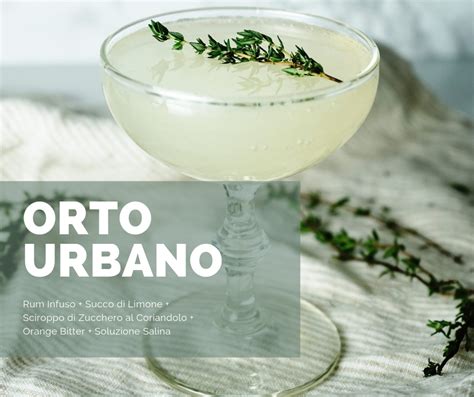 Ingredienti per cocktail con rosmarino