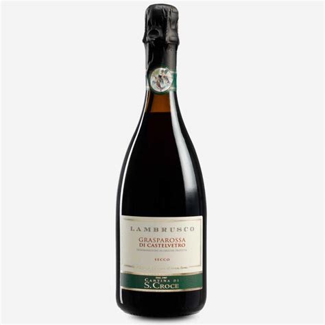 Vigneti del Lambrusco Grasparossa