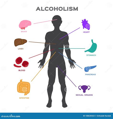 Organi colpiti dall'abuso di alcol