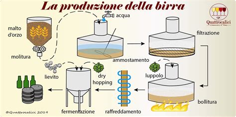Diagramma che illustra le fasi della produzione della birra
