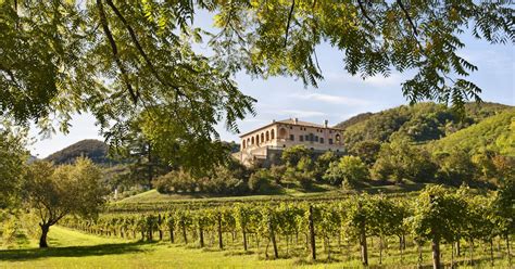 Villa dei Vescovi e vigneti circostanti