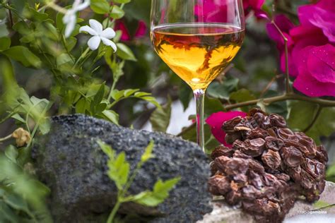 Uve Zibibbo appassite al sole