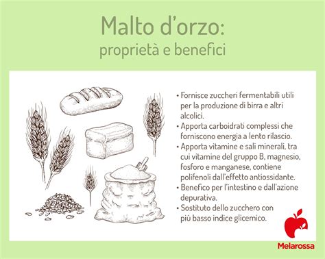 composizione di malto d'orzo, luppolo e lievito
