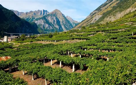Paesaggio vitivinicolo della Valle d'Aosta