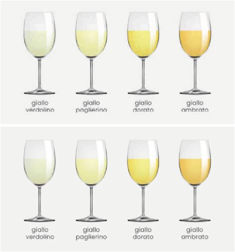 Scala di colori per vini bianchi: dal verdolino all'ambrato