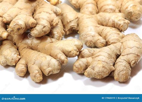 Radice di zenzero fresca e zuccherina