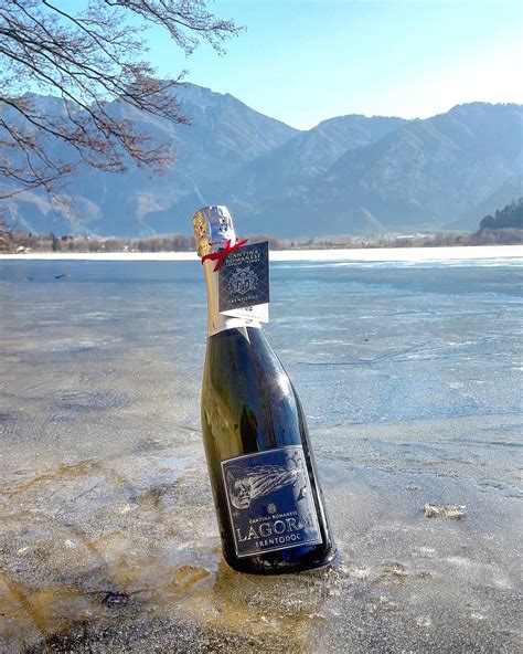 Esempi di etichette artistiche di Cantina Romanese