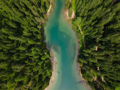 Foresta di abeti in Alto Adige