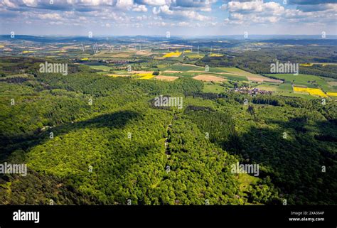 Immagine aerea del complesso birrario Forst