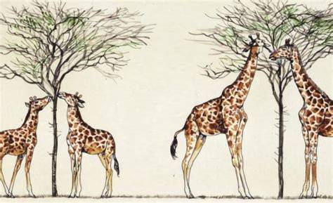 Schema che illustra l'evoluzione delle IPA e dei suoi sottostili