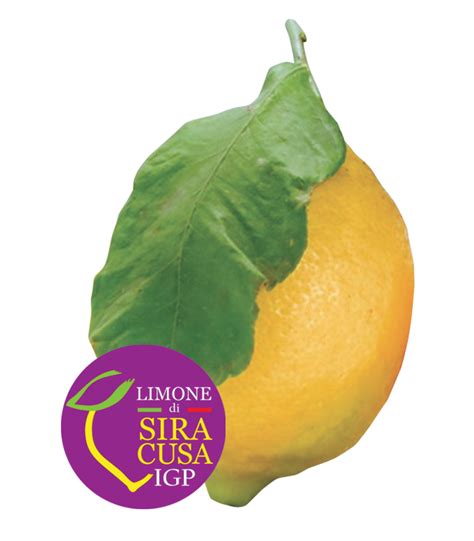 Limone di Siracusa IGP e Olio EVO DOP Monti Iblei