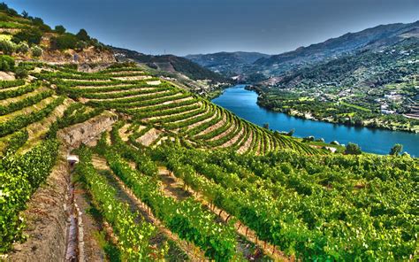 Vigneti del Douro, Portogallo