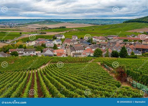 Paesaggio etneo con vigneti