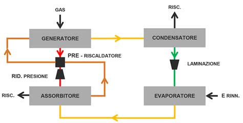 Diagramma che illustra le fasi di assorbimento ed eliminazione della caffeina nel corpo