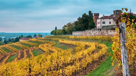 Vigneti del Collio al tramonto
