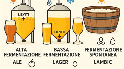 Illustrazione del processo di fermentazione della birra con lieviti che producono alcol e CO2