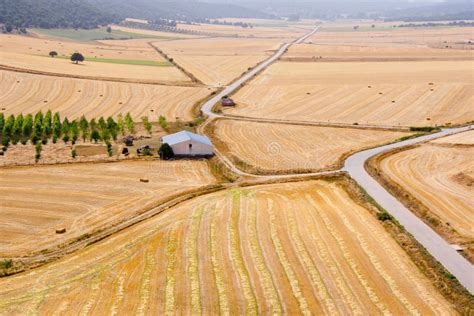 Vista aerea di un'azienda agricola con vigneti circostanti