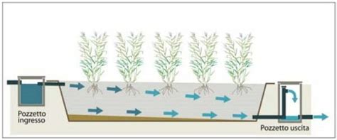 Schema di un impianto di fitodepurazione