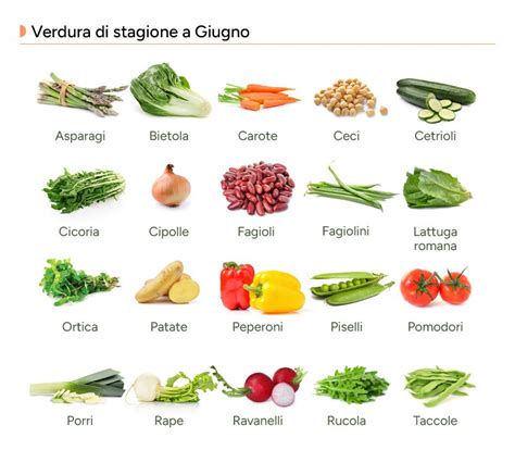 Varietà di verdure fresche disposte artisticamente