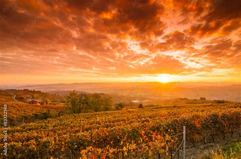 Vigneti toscani al tramonto