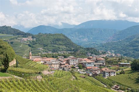 Panorama della Val di Cembra con vigneti terrazzati