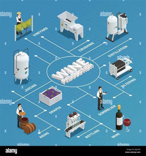 Diagramma del processo di imbottigliamento del vino con enfasi sull'igiene e il controllo dell'ossigeno
