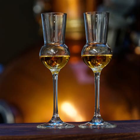 Selezione di distillati pregiati in bicchieri da degustazione